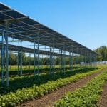 Structures solaires surélevées au-dessus d'une parcelle agricole dans un paysage français